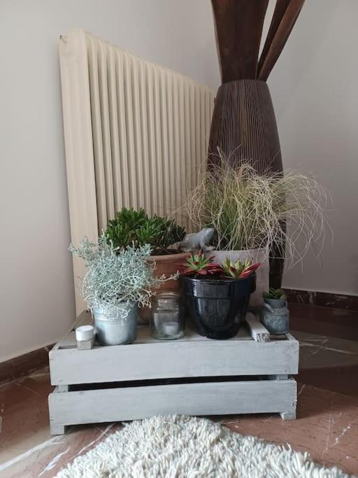 Apollo Apartment Athens/Airport Spáta Zewnętrze zdjęcie
